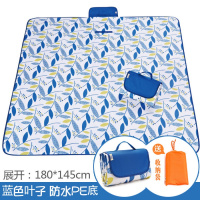 防潮垫户外双人野餐垫春游野炊地垫防水加厚宽坪垫子郊游沙滩垫