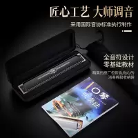 天鹅成人口琴24/28孔复音重音C调4A级记忆音簧正品专业演奏级琴