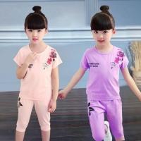 [促销]女童夏装套装2018新款中大童女装短袖T恤裤子两件套儿童女套装