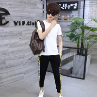 [促销]男童套装夏男童运动套装2018中大童纯棉T恤两件套10-11-12男童装