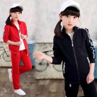 [促销][上衣+裤子]男童女童运动服二件套新款春秋童装校服休闲套装