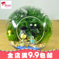 苔藓微景观生态瓶奇趣绿植创意办公室迷你植物DIY龙猫盆栽