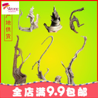太行山崖柏木料毛料太行原木崖柏木料原木料陈化毛料老料摆件精品