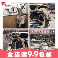 太行崖柏毛料 老料 陈化料 墙壁雀眼瘤花摆件红白料虎皮纹工艺品