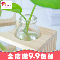 水培小花瓶创意玻璃绿萝透明小清新水养植物桌面装饰摆件客厅插花