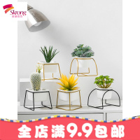 ins北欧仿真植物多肉仙人掌小盆栽假花房间室内盆景装饰绿植摆件