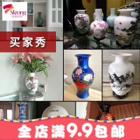 ins风陶瓷器摆件景德镇瓷瓶花瓶青花瓷客厅插花家居装饰小工艺品