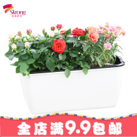 家庭长方形阳台种菜花盆室外蔬菜种植庭院花懒人自吸水塑料花盆