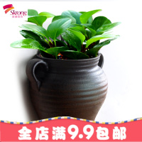 壁挂花盆陶瓷欧式创意阳台垂盆绿萝悬挂式多肉花盆墙壁装饰花器