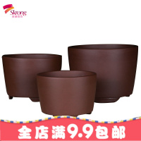 宜兴紫砂特价圆柱盆景阳台君子兰小兰花盆绿萝多肉绿植简约盆