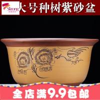 紫砂花盆陶瓷特大号兰花绿萝种菜盆多肉大口径花盆粗陶透气带托盘