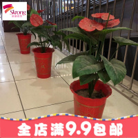 深款福字高筒落地加厚加深塑料花盆虎皮兰花金钱财树特大盆