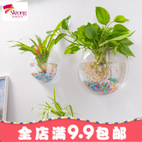 挂墙花盆壁挂花盆创意兰花盆绿萝水培迷你垂悬挂塑料墙上花盆