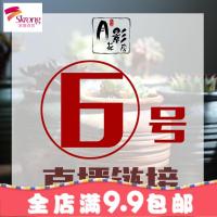 [6号直播链接]直播专拍 多肉花盆直播 直播链接不退不换