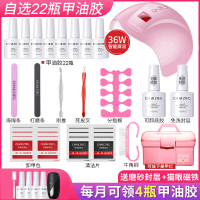 美甲工具套装全套开店初学者家用专业做指甲油胶速干 48W光疗机灯 牛刀小试(选22瓶胶)色号前加H36W+工具箱