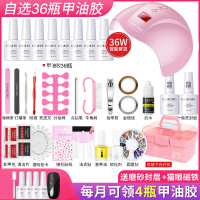 美甲工具套装全套开店初学者家用专业做指甲油胶速干 48W光疗机灯 高手晋级(选36瓶胶)色号前加H36W+工具箱