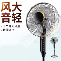 电风扇落地扇家用宿舍遥控摇头台式立式机械定时大风力工业扇 智能遥控款[五扇叶]+3m延长线