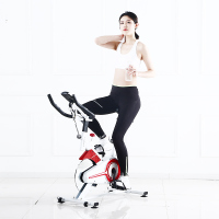 宏太 家用智感健身单车骑行车磁控静音实心飞轮运动自行车瘦腿提臀肌肉锻炼线条 边听音乐边骑行告别枯燥运动 三种乘位可调节