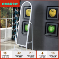 苏宁好货[破损补寄]穿衣镜全身镜落地镜试衣镜化妆镜服装镜跳舞镜简约新款