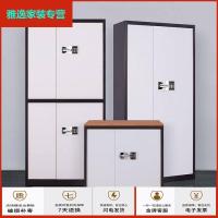 苏宁好货文件柜指纹电子密码办公财务档案资料保密保险柜铁皮简约新款