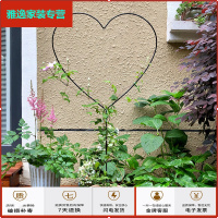 苏宁放心购简约时尚心形花架花插铁线莲爬藤架月季藤蔓园艺支架2个装简约新款