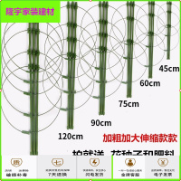 苏宁放心购园艺爬藤支架蔬菜爬架加粗飘香藤花架兰花盆攀爬藤架神器架铁架简约新款