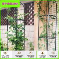 苏宁放心购植物攀藤架 园艺支架月季爬藤架 楼顶种菜爬藤简约新款