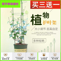 苏宁放心购爬藤月季花墙铁丝网花爬网金银花爬藤架子藤架花盆支架室内绿植架简约新款