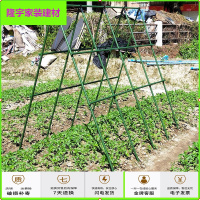 苏宁放心购种植爬藤架百香果架菜园种菜瓜豆角藤架大棚骨架葡萄植物攀爬架简约新款
