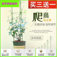 苏宁放心购花环攀藤架花架柱盆花卉兰花架子花盆栽固定架护架兰花花托护叶架简约新款
