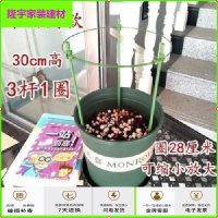 苏宁放心购藤架多层植物爬支撑杆子月季花铁艺花架嫁接蟹爪兰支架绿萝园艺柱[7月11日发完]简约新款