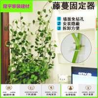 苏宁放心购藤蔓植物爬牵引架绿植固定器壁挂阳台自粘式钉定位藤架花藤花悬挂简约新款