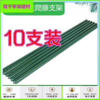 苏宁放心购种植爬藤架菜园种菜瓜豆角藤架百香果架葡萄植物攀爬架大棚骨架简约新款