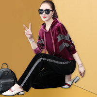 公牛欢腾金丝绒秋季运动服套装女2020年新款时尚洋气阔太太休闲两件套