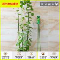 苏宁放心购老花农盆栽固定铁环花支架铁线莲爬藤架月季花撑包塑园艺花盆支架新款简约