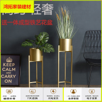 苏宁放心购铁艺花架现代简约轻奢落地口阳台北欧式带花盆落地绿萝婚礼路引新款简约