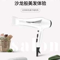 飞科电吹风FH6102