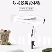 飞科电吹风FH6102