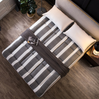 床垫1.8m床1.5m床1.2米单人双人褥子垫被学生宿舍海绵榻榻米床褥