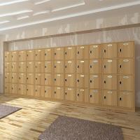 木制储藏柜存衣柜瑜伽馆浴场室健身房更衣柜员工存储物柜木质带锁