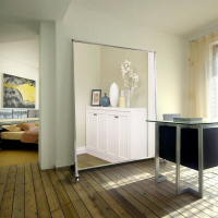 移动舞蹈镜全身镜排练镜瑜伽镜跳舞健身镜试衣镜拍照镜有轮带刹车可定制尺寸其他否