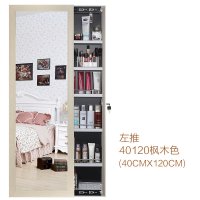 2019D牌穿衣镜收纳柜壁挂收纳全身镜贴墙落地试衣镜子衣帽间试衣镜子 JR-501色(50*135)左推 其他