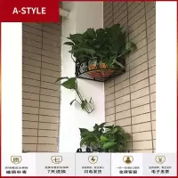 苏宁放心购钉在墙上的花架子挂在花盆挂式绿萝阳台上墙 壁挂免打孔铁艺挂墙A-STYLE