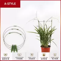 苏宁放心购爬藤花架圆柱园艺支柱架阳台绿萝月季藤本植物攀爬铁艺支撑铁线莲A-STYLE