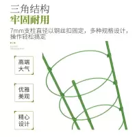 苏宁放心购护叶架植物固定花架爬架花支架月季绿萝爬藤架花盆支架室内绿植架A-STYLE