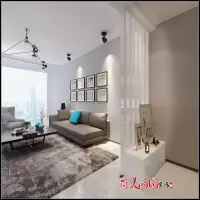 苏宁放心购玄关隔断柜 客厅 装饰柜 进玄关柜鞋柜白色烤漆厅装饰屏风柜A-STYLE家具