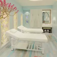 苏宁放心购床院专用按摩床推拿床家用理疗床加宽美体床艾灸床纹绣床A-STYLE