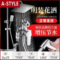 苏宁放心购淋浴花洒套装全铜冷热淋浴器浴室沐浴明装花洒淋雨喷头家用A-STYLE