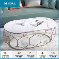 北欧铁艺茶几简约现代家用小户型网红茶桌客厅轻奢小茶几 120cm拉拉白面+金色铁架 组装
