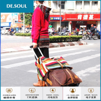 塔买菜车小拉车家用拉货可折叠式便携小拖车拉杆车手拉车 代